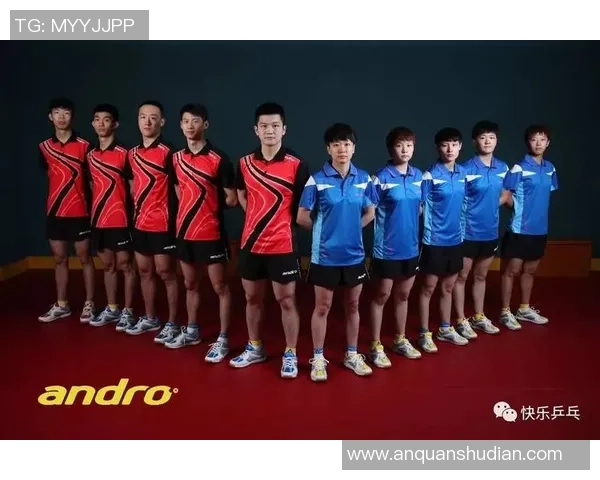 南京乒乓球队与武汉乒乓球队速度对比分析赛后复盘