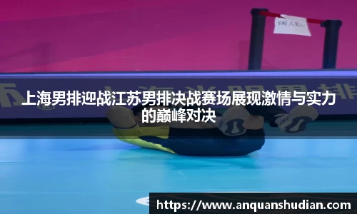 上海男排迎战江苏男排决战赛场展现激情与实力的巅峰对决
